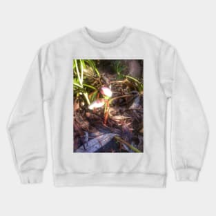 Lenten rose, buds Crewneck Sweatshirt